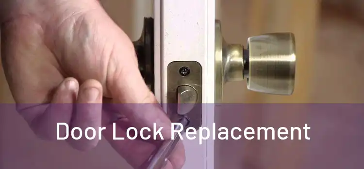  Door Lock Replacement 